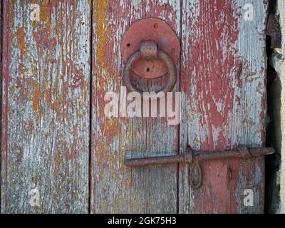 weathered timber barn door with woodworm,flaking red paint ,rusty ring door handle and bolt fastening in Cumbria, England, UK Stock Photo