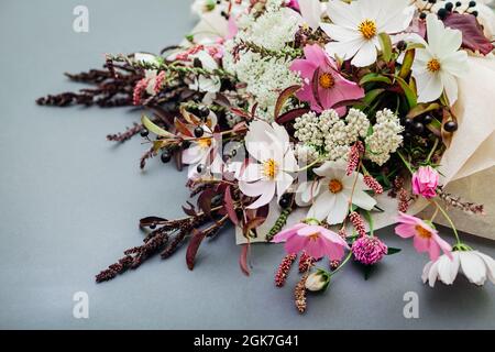 Fresh bouquet of white pink flowers with burgundy foliage wrapped in paper and arranged on grey background. Cosmos combined with wild black berries Stock Photo
