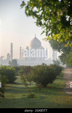 Taj Mahal at dawn from Mehtab Bagh, Agra, India Stock Photo