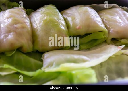 Closeup of raw Ukrainian cabbage rolls stuffed with rice and onion Stock Photo