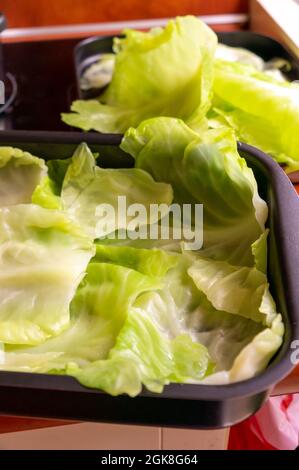 Preparation of cabbage leaves for stuffed rolls Stock Photo