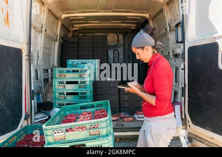 Concentrated female gardener in bandana browsing cellphone while working in farm and looking at screen Stock Photo