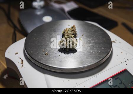 https://l450v.alamy.com/450v/2gk8nfw/weighing-scales-with-dry-marijuana-floral-buds-on-table-in-room-on-blurred-background-2gk8nfw.jpg