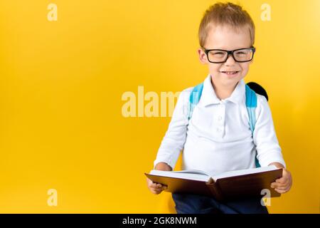 Banner Funny Preschool Child Boy in Big Glasses Reads Book on Yellow Background Copy Space. Happy Smiling Kid Go Back to School, Kindergarten. Success Stock Photo