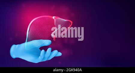 Human liver 3D silhouette on a doctor's hand in realistic rubber glove. Anatomical medical concept with the wireframe of a human organ on abstract bac Stock Vector