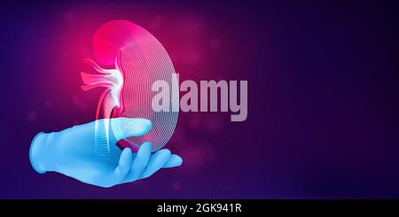 Silhouette of a human kidney on a realistic rubber glove. 3D medical concept with the contour of a human organ on abstract background. Vector illustra Stock Vector