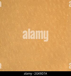 Genuine all natural beige tan leather grained texture swatch background, blank empty copy space macro closeup, large detailed textured pattern Stock Photo