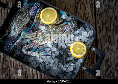 Seafood overhead shot. Fresh crab prawns on ice and wooden background. Stock Photo