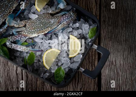 Seafood overhead shot. Fresh crab prawns on ice and wooden background. Stock Photo