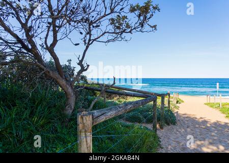 Sandy track to beach with wooden posts and distant ocean Stock Photo