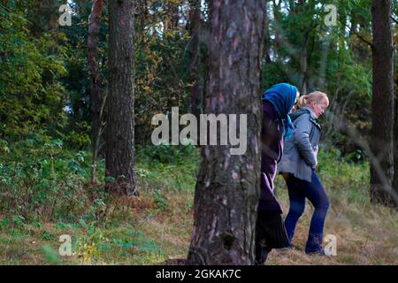 Defocus side view among trunk of two woman walking in pine forest. Mushroom picking season, leisure and people concept, mother and daughter walking in Stock Photo