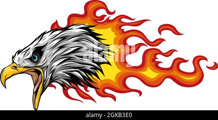vector illustration of head Eagle with flames Stock Vector