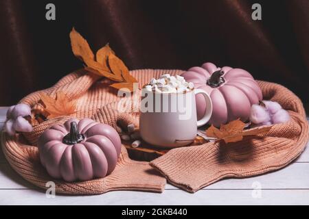 Autumn still life on light wooden background and brown textile with cocoa mug and marshmallows, pink pumpkins, autumn leaves, knitted sweater. Stock Photo