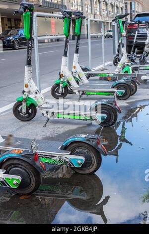 A lot of Lime e-scooters with a reflection in a puddle Stock Photo