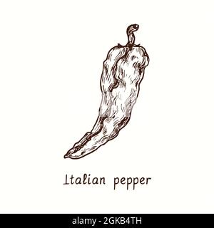 Italian pepper. Ink black and white doodle drawing in woodcut style. Stock Photo