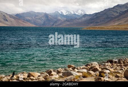 Tso Moriri lake in Rupshu valley, Chamser and Lungser Kangri - Ladakh - Jammu and Kashmir - India Stock Photo