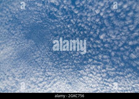 many altocumulus clouds in blue sky above England, Stock Photo