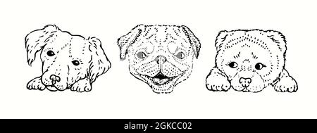Cute dog faces collection, sitting, face on paws. Ink black and white drawing illustration Stock Photo