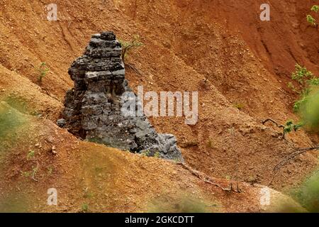 Nature rock among the red soil Stock Photo