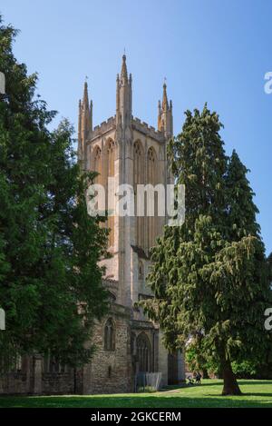 Church tower England, view of the medieval tower of St Cuthbert's flanked by yew trees in Wells, Somerset, England, UK Stock Photo
