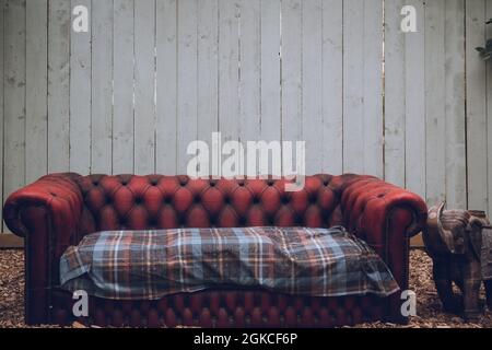 A rustic looking antique sofa in front of a weathered wooden wall Stock Photo