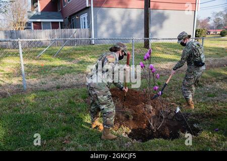 FORT BENNING, Ga. – Students enrolled in Officer Candidate School here take part in a volunteer class project March 13, planting trees – oaks and magnolias – near the Indianhead Village Family housing area at Fort Benning. The Soldiers put in 61 trees in two rows at a point between Lavoie Avenue and Derrickson Street. They were members of Delta Company, 3rd Battalion, 11th Infantry Regiment, part of the 199th Infantry Brigade, and are enrolled in OCS class 003-2. Shown planting a tree are Officer Candidate Hannah Hogan (left) and Officer Candidate Athena Glavasis. Fort Benning arranged the tre Stock Photo