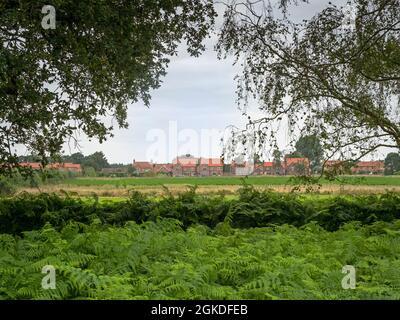 Skipwith village seen through trees from Skipwith Common, North Yorkshire, England Stock Photo