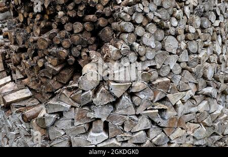 pile of neatly stacked firewood logs, north yorkshire, england Stock Photo