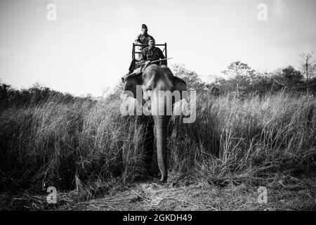 Elephant ride in Chitwan National Park, Chitwan, Nepal Stock Photo