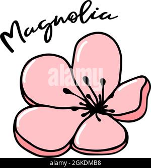 Pink magnolia flower vector doodle illustration silhouette of hand drawn isolated on white background. Flowers spring doodle, sketch with lettering Stock Vector