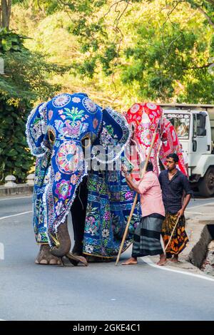 KANDY, SRI LANKA - JULY 19, 2016: Decorated elephant on a street of Kandy during Poya Full Moon holiday. Stock Photo