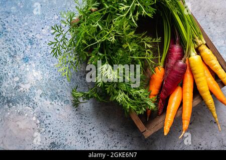 Colorful Rainbow carrot with their green leaves on light blue background, top view Stock Photo