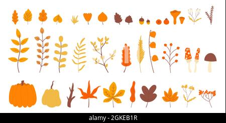 Plant collection with leaves flowers tree trunk Vector Image