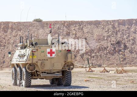 Task Force Viking Soldiers conduct vehicle maneuver and firing training to be proficient on their weapons in the fight to counter Daesh, outside of Al Asad Air Base, Iraq on a shooting range on March 29, 2021. Specialized weapons and vehicle training is done to be proficient on weaponry and vehicles issued to soldiers in the fight to counter Daesh. Stock Photo