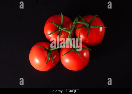 Fresh organic tomatoes on black background. Ripe red tomato. Stock Photo