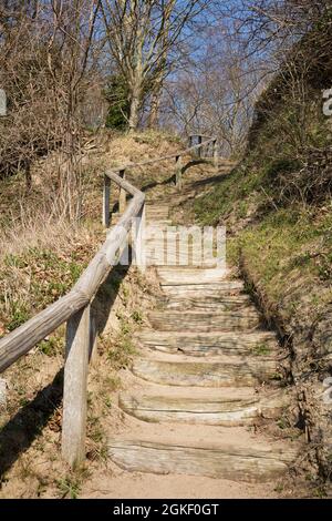 Stairs, Nonnenloch, Gross Zicker, Moenchgut, Island of Ruegen, Mecklenburg-Western Pomerania, Germany Stock Photo