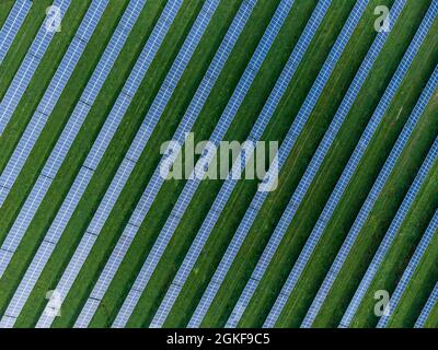 Aerial view of a large commercial solar panel generating plant producing clean green energy to the national electricity grid, (West Sussex) UK Stock Photo