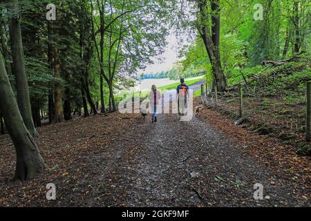 Two people, a couple, a man and woman, walking their dogs in the River Wye valley, Forest of Dean, Gloucestershire, England, UK Stock Photo