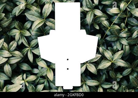 top view of white empty unfolded box for accessories or tag for clothes on background of periwinkle leaves, with copy space Stock Photo
