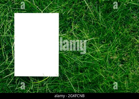 creative layout composition frame made of green fresh grass with a beautiful texture with a white paper card note and shadows from sunlight, flat lay Stock Photo