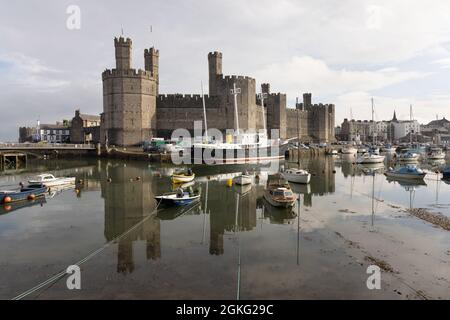 Caernarfon, Gwynedd, UK, September 9th 2021: Edward I's castle reflected in the harbour in which are moored small boats and ex-lightship Britain. Stock Photo