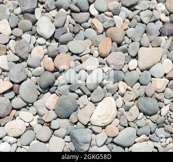 Beach dry pebble of various forms as natural background. Stock Photo