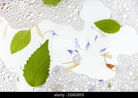 Mint leaves on soap foam background. Flat lay, top view. Stock Photo