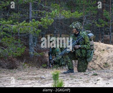 Canadian Land forces soldiers of the Royal Canadian Dragoons, 2nd Canadian Mechanized Brigade Group, keeps watch and pulls security in the early morning hours of Apr. 16. The unit was on a joint exercise with 3rd Battalion, 1st Combat Aviation Brigade, 1st Infantry Division, to clear the area of enemy in the mountainous wooded border region near Lielvarde, Latvia. Stock Photo