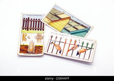 cigarette cards from the tobacco manufacturer of Bristol WD & HO WILLs  showing household and garden hints Stock Photo