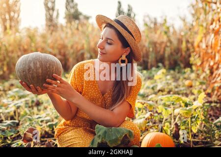 Pumpkins. Woman farmer picking autumn crop of pumpkins on farm. Agriculture. Thanksgiving and Halloween preparation Stock Photo