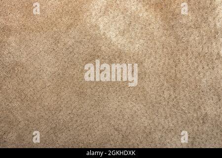 Suede leather. Genuine leather material. Brown background. Beige  background. Skin testure. Suede. Stock Photo