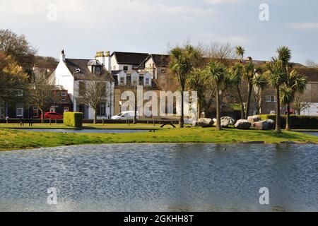 Palm trees in Agnew Park on the seafront Stranraer Scotland UK Stock ...