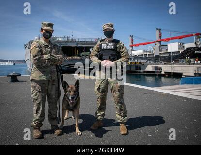 Meet Bari, a U.S. military working dog who traveled with his human counterparts Pvt. Magale Esparza, left, assigned to the 131st Military Police Detachment, Ansbach, Germany, and Pfc. Savana Lemoine, right, of the 554th Military Police Company, Stuttgart, Germany. The trio travelled to the seaport of Zadar, Croatia in support of DEFENDER-Europe 21. The U.S. led, multinational training event brought together soldiers from across Europe to train and build relationships as one. Bari and his two-legged counterparts ensured all equipment offloaded from the U.S. Naval Ship Yuma was safe. Stock Photo