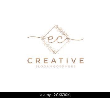 EC Feminine logo beauty monogram and elegant logo design, handwriting logo of initial signature, wedding, fashion, floral and botanical with creative Stock Vector